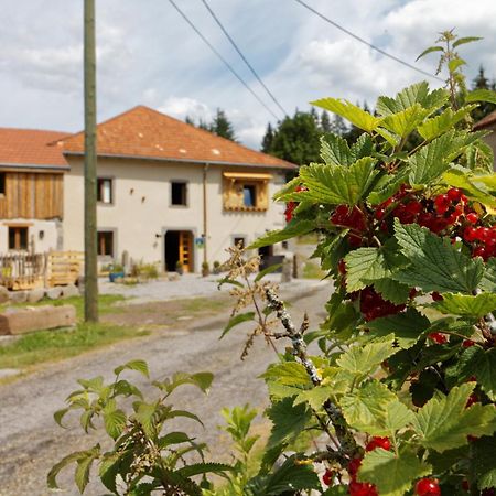 La Ferme De Jean Entre Lacs Et Montagnes Saulxures-sur-Moselotte Exterior photo