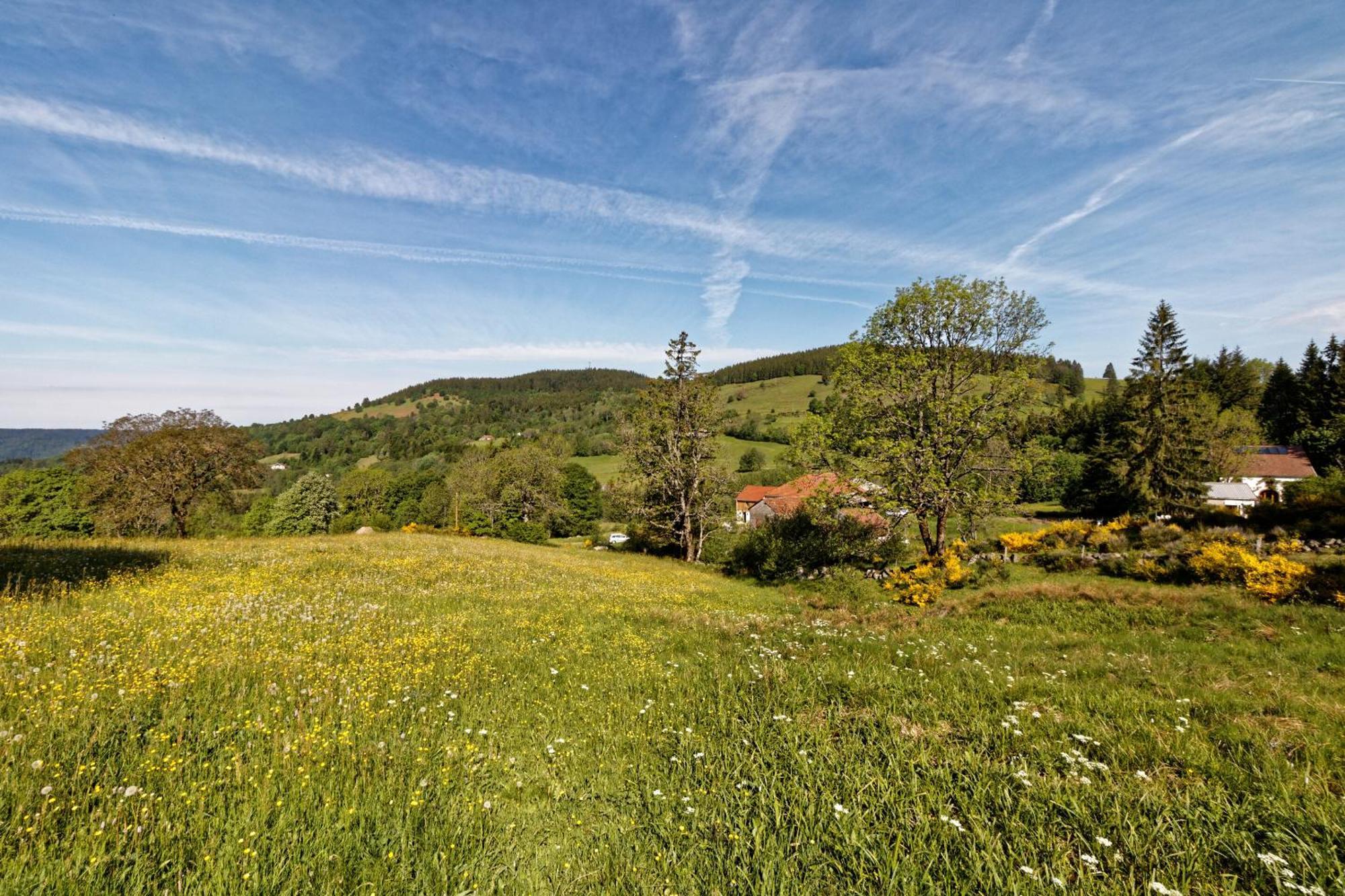 La Ferme De Jean Entre Lacs Et Montagnes Saulxures-sur-Moselotte Exterior photo